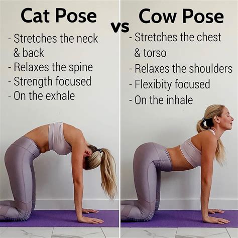Cat and cow poses are a good way. Cat vs Cow!! Which do you prefer?! 🐱🐄 👉🏼 Cat Pose: 🐱 This ...