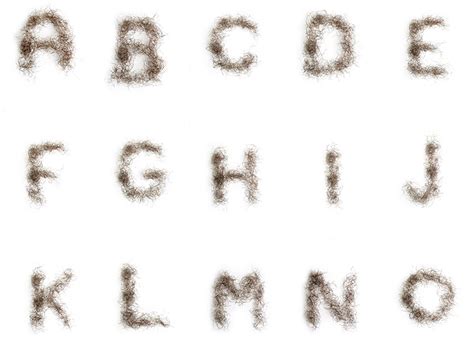 There is little if any difference in the capacity of male and female bodies to grow hair in response to androgens. If It's Hip, It's Here (Archives): Hairvetica Alphabet ...