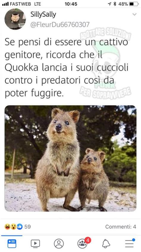 Chiedimi se sono felice, film che per il pubblico italiano non ha bisogno di presentazioni. Pensi di essere una cattiva madre? Il meme della mamma quokka diventa virale | Mamme.it