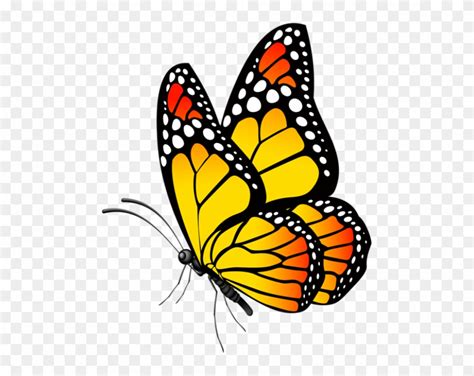 The images above represents how your finished drawing is going to look and the steps involved. Download Butterfly Clip Art, Butterfly Drawing, Butterfly ...