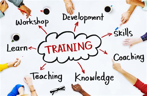 What Are The Reasons To Develop Employee Training Programs? - Hanna Wears