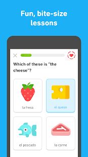 Free french language exchange app: Duolingo: Learn Languages Free - Apps on Google Play