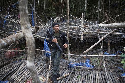 Conditions of entry into thailand from malaysia. Rohingya refugees 'gang-raped at Thailand-Malaysia camps'