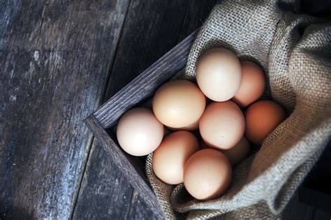 Maybe you would like to learn more about one of these? Can You Feed Raw Eggs To Dogs And Cats? - Whitney Living