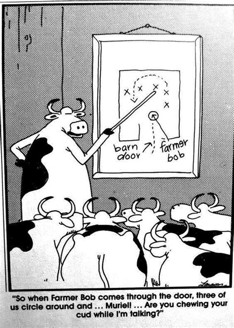 Cartoonist gary larson has returned. cow with funny markings - Google Search in 2020 | The far ...