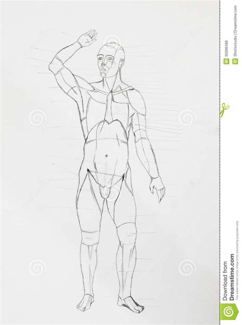 Those nine different pencils are perfect for digital. Human Front Body Pencil Drawing Stock Photo - Image: 35006498