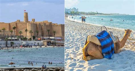 Popis pláží, letovisek a počasí v tunisku. Tunisko vstává z popela: All inclusive u moře za pár kaček ...