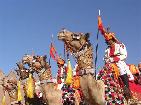 This project is based on the book miss alaineus, a vocabulary disaster, and has raised vocabulary scores in schools across the nation, all while having a creative blast! Desert Festival, Jaisalmer, Rajasthan, India. Camels ...