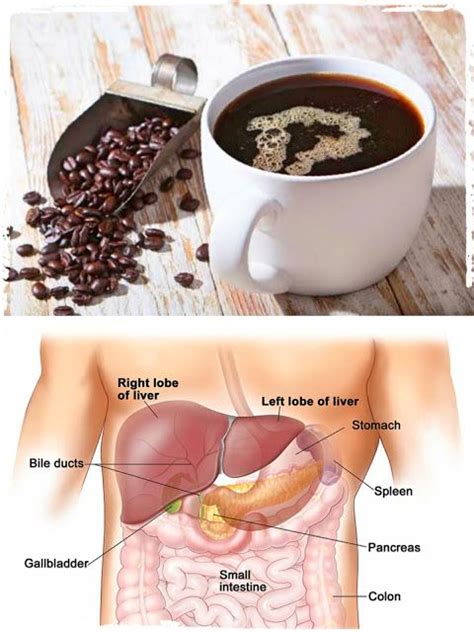 If you must absolutely have alcohol for some unknown reason, give yourself at least six hours after taking the medication to drink. Drink Coffee To Reverse Liver Damage Caused By Alcohol ...