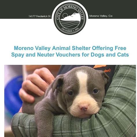 If you are eligible to receive government help such as: Moreno Valley Animal Shelter Offering Free Spay and Neuter ...