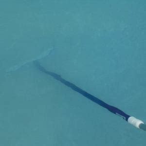 Give the algaecide time to circulate around the pool. Making It Clear| Pool & Spa News