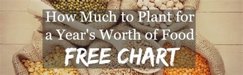 1 pi network worth $1,2797 now. How Much to Plant for a Year's Worth of Food