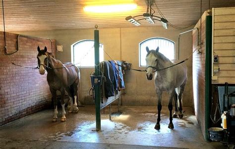 Baryard started to ride at the age of six and went on to be a very accomplished show jumper. Sofie Täuber - Min praktik hos Malin Baryard | Häststall ...