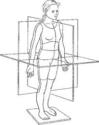 Standard anatomical position is that of a human standing, looking forward, feet together and pointing forward, with none of the long bones crossed from the in anatomical position the body is erect with the head and torso upright. #2 인체해부학 용어 : 네이버 블로그