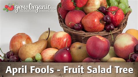 These are a real thing! April Fools: Fruit Salad Tree - YouTube