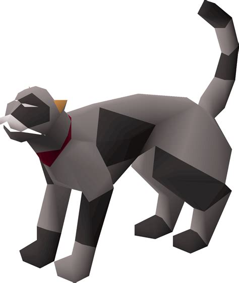 5 i saw a thief running away from the police in town last night. Cat - OSRS Wiki