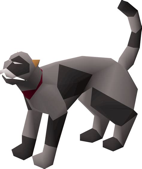 Cats are common pets that can follow the player. Cat - OSRS Wiki