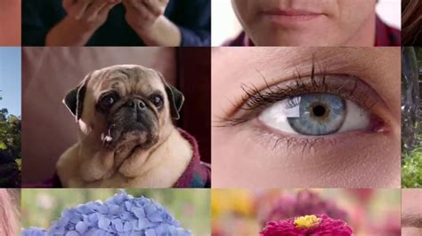 Flonase dosage twice a day. Flonase Sensimist TV Commercial, 'Allergy Relief for All ...