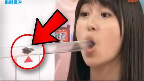 Nouvelles vidéos de femme belge ajoutées aujourd'hui! 7 JEUX TÉLÉVISÉS JAPONAIS INSOLITES ლ(ಠ_ಠ ლ) - YouTube