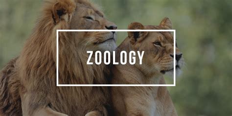 This not necessarily the major to pursue if. Revealing the best zoology colleges in the world - Digiteer