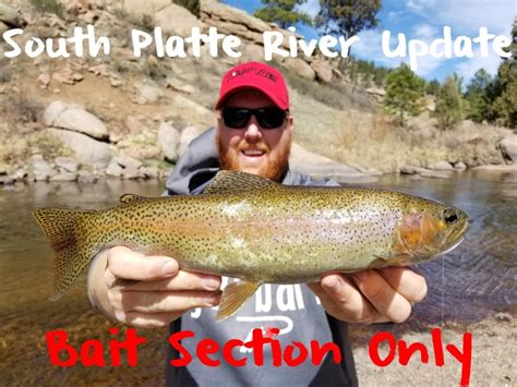 For those interested in fishing plymouth's lakes, reservoirs and streams, there are some excellent choices including south fork dry creek, scott creek and spanish creek. South Platte River: Bait Section Update - Pautzke Bait Co