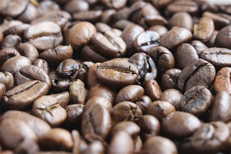 At henry's house of coffee all of our beans are 100% arabica. How Much Caffeine is in a Coffee Bean? | Healthfully