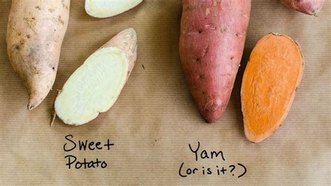 We asked jaclyn london, ms, rd, cdn. What Are The Best Tasting Brands Of Canned Sweet Potatoes ...