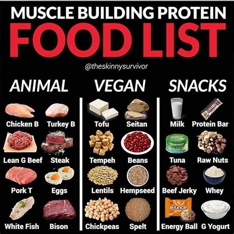 One packet contains 16 grams of protein and only 4 grams of carbs. 7 Sources of Protein That Will Help Muscle Gain And Health ...