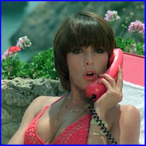 Commessa nel mio negozio colorificio cassani franco s.n.c binasco tel.029055639. Recensione su L'assistente sociale tutto pepe (1981) di ...