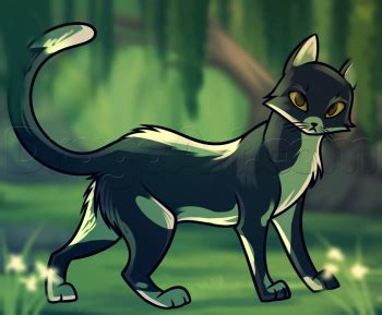 Again, it doesn't need to be a perfect circle. How To Draw Swiftpaw by Dawn | Warrior cats, Warrior cats ...