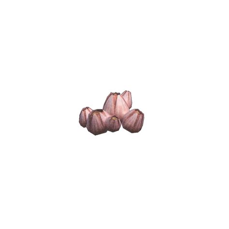The gazami crab is the most widely fished species of crab in the world. Animal Crossing New Horizons Plongée - Mer - Océan