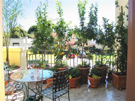 Adi bazi yerlerde tara patrick olarak da gecer. Pictures and Tips for Small Patios | HGTV