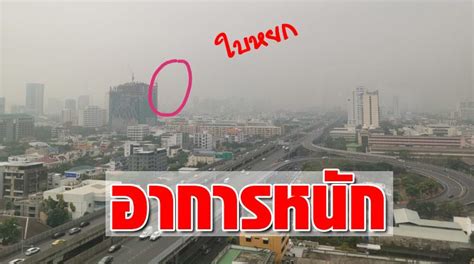 ถึงแม้ว่าจะยังไม่พูดถึง pm 2.5 เอาแค่ฝุ่นเล็กๆ น้อยๆ ทั่วไปที่เราเจอกันเป็นเรื่องปกติ เช่น ฝุ่นจาก. 28 เขต อาการหนัก ค่าฝุ่น PM 2.5 พุ่ง แชร์ภาพสุดพีค ใบหยก ...