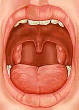 Esto puede llevar a una insuficiencia renal potencialmente mortal. Alito pesante? Lo stomaco non c'entra! | MEDICITALIA.it