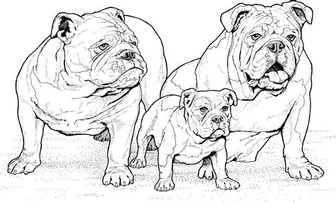 Check spelling or type a new query. Coloring Pages Of Realistic Dogs at GetColorings.com ...