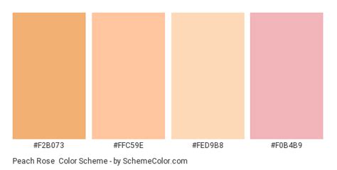 This peach rose would add a special touch to a wedding. Peach Rose Color Scheme » Image » SchemeColor.com