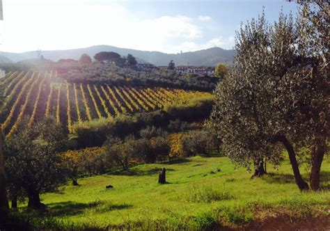 Guidato dalle tue dita dotata di grazia infinita è chi mi ha dato vita. Agriturismo Sottotono - Carmignano (Toscana)