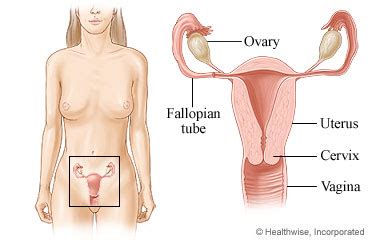 You may also see your anesthesiologist the week before surgery. Laparoscopic Hysterectomy: Before Your Surgery