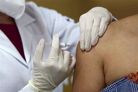 Em parecer, equipe afirma que uso emergencial da vacina deve ser aprovado. São Paulo vai ter 60 milhões de doses da Coronavac até março