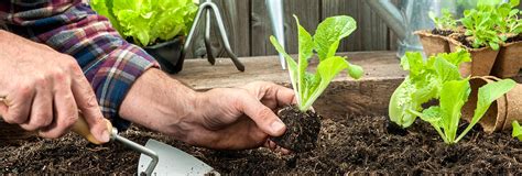 Tolle produkte rund um garten und freizeit! Garten und Freizeit - alles für draußen bei bauSpezi ...