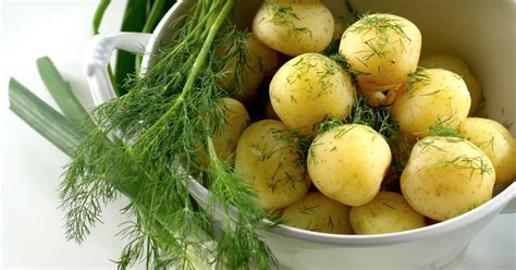 Uudet perunat juhannukseksi - näin perustat perunamaan parvekkeelle | ET