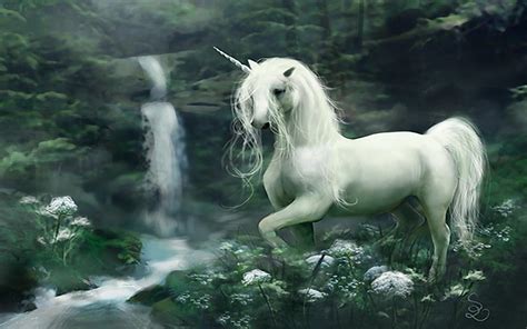 Awesome wallpapers collection full hd free download. White Unicorn HD desktop wallpaper : Widescreen : High ...