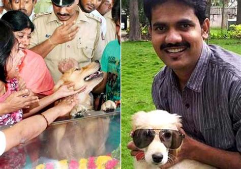 We did not find results for: Deceased IAS officer DK Ravi's pet pays heart touching ...