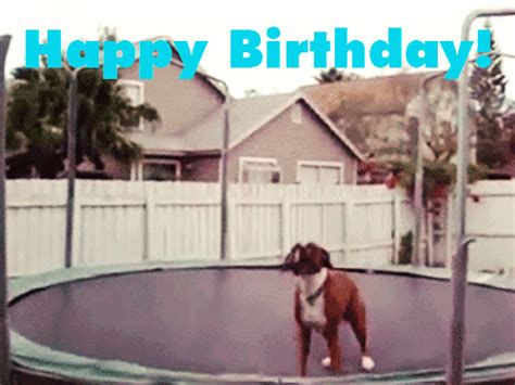 Funny Happy Birthday Gifs - Share With Friends