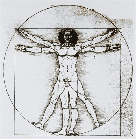 'the proportions of the human body according to vitruvius') is a drawing made by the italian polymath leonardo da vinci in about 1490. Mystery lingers over da Vinci painting's one flaw - New ...