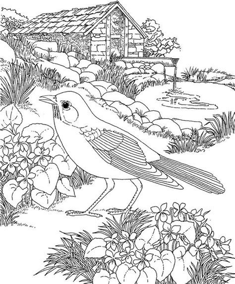 Press the clear all button to clear the sample data. Wisconsin Robin Coloring Page | Purple Kitty