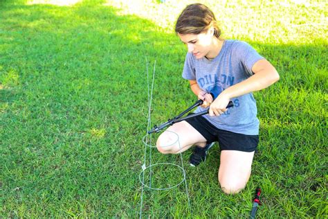 For this, wrap the cage with grapevine to form a tree and line them in the. DIY Plant Stand: How to Turn a Tomato Cage Into a Wire ...