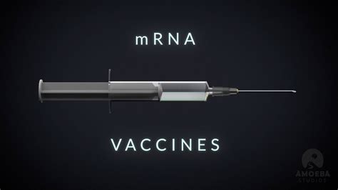 If you're looking for answers, read on. How Covid-19 mRNA Vaccines work Animation by Thom Leach ...