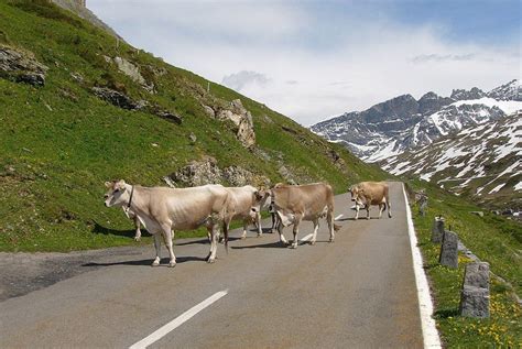 Von linthal auf den klausenpass schweiz mit der aprirlia tuono v4 1100 rr, original auspuff, unglaublicher sound. Urnerboden und Spiringen - Denkmalpflege im Schächental ...