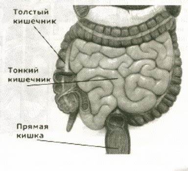 Заболевание толстого кишечника диета ОЧИЩЕНИЕ ТОЛСТОГО И ТОКОГО КИШЕЧНИКОВ: лимоном, магнезией, а так же ОЧИЩЕНИЕ ТОЛСТОГО И ТОКОГО КИШЕЧНИКОВ: лимоном, магнезией, а так же Заболевание толстого кишечника диета